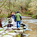 Tarr Steps